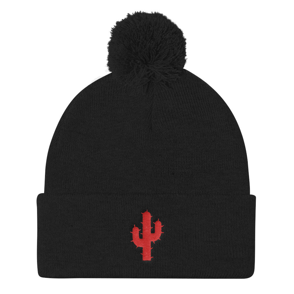 Pom Pom Knit Cap